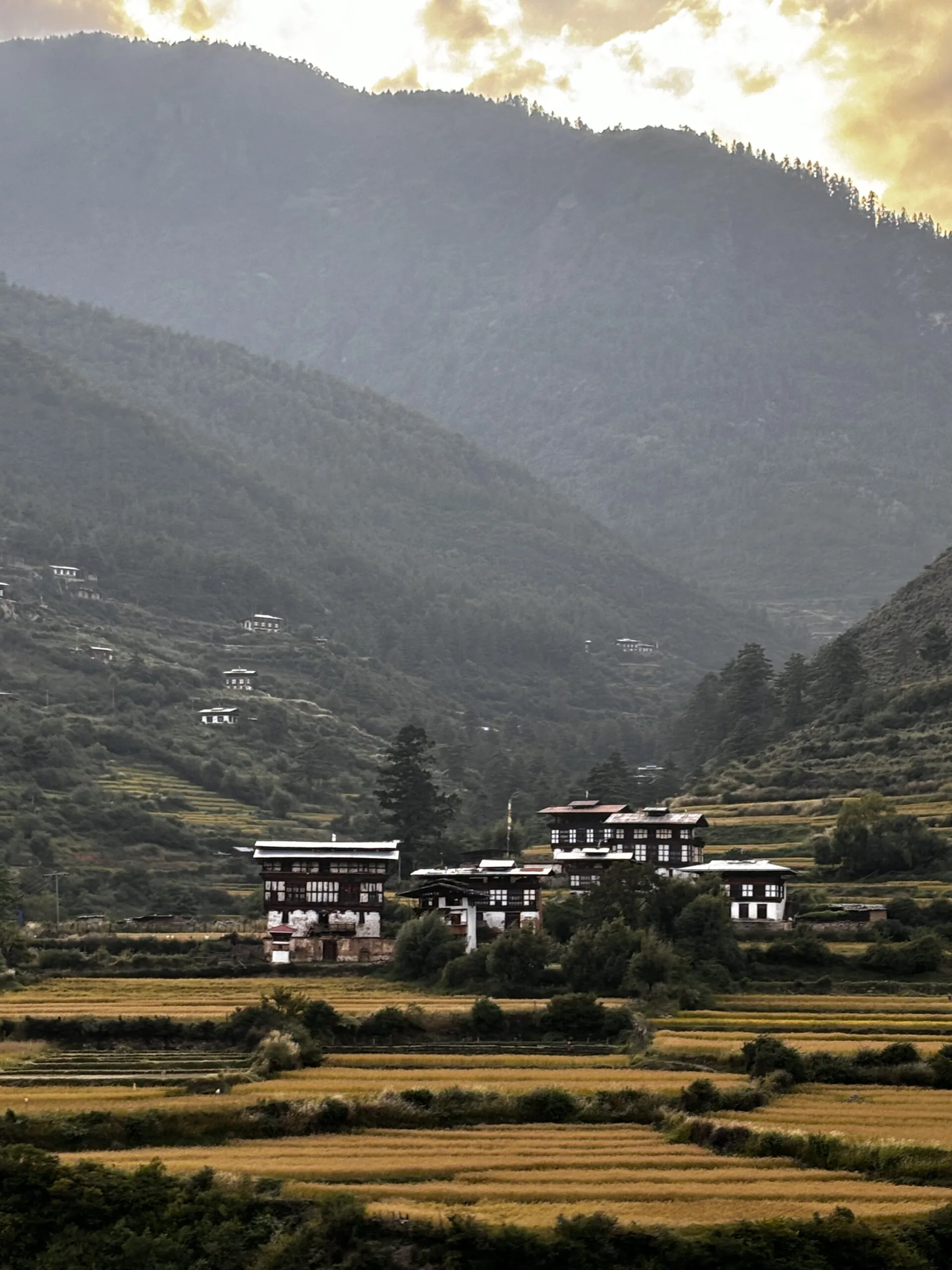 Trekking Tours
