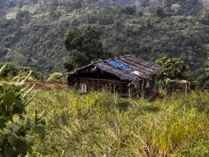 Clean Bhutan,Green Bhutan